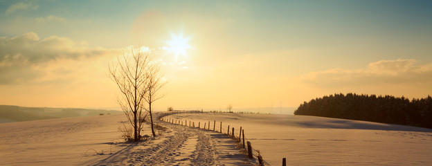 Fototapete Honigfarbe Wintersonnenunterganglandschaft mit Baum und Straße.  © Swetlana Wall