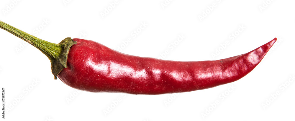 red bitter pepper. Isolated on white background red bitter pepper. Isolated on white background