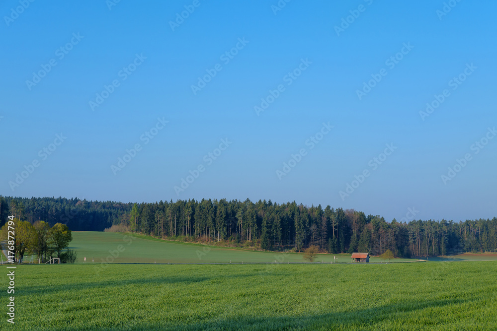 Nature of countryside.