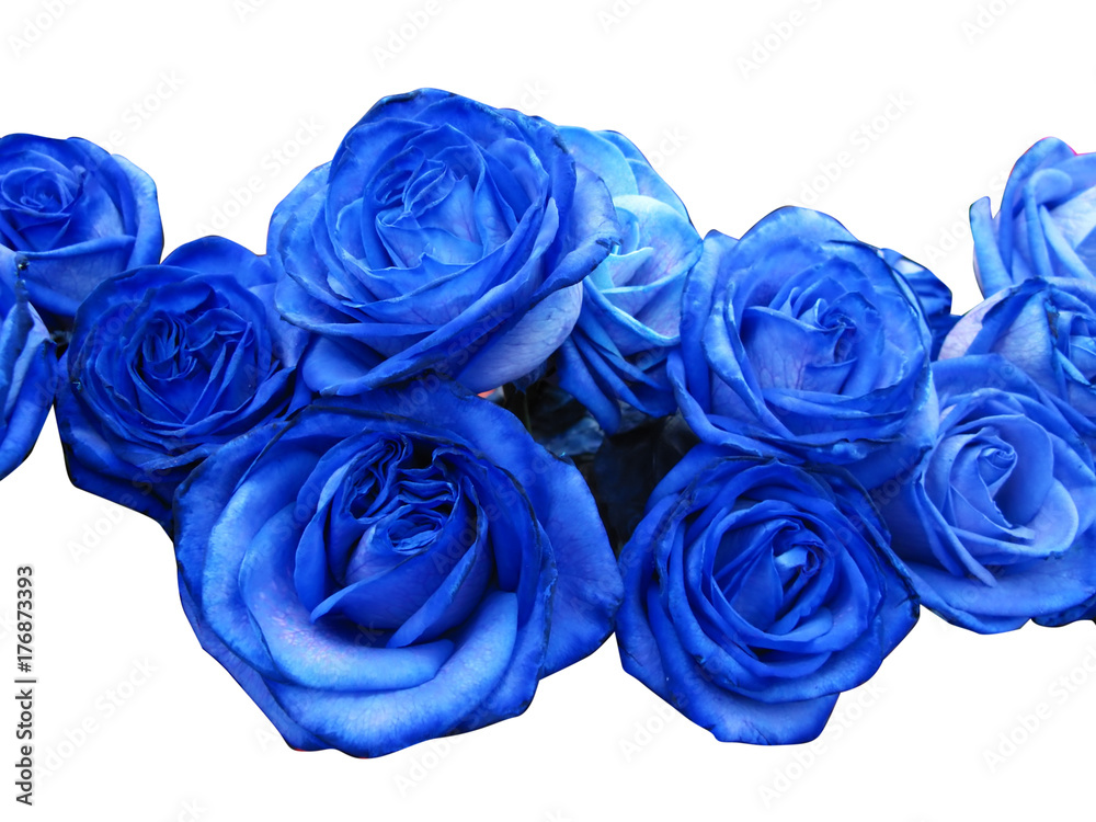 Naklejka premium Niebieskie róże