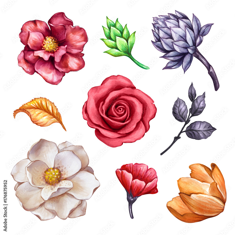 Naklejka premium watercolor floral set, autumn flowers, rose, tulip, leaves, succulent, fall, botanical clip art isolated on white background
