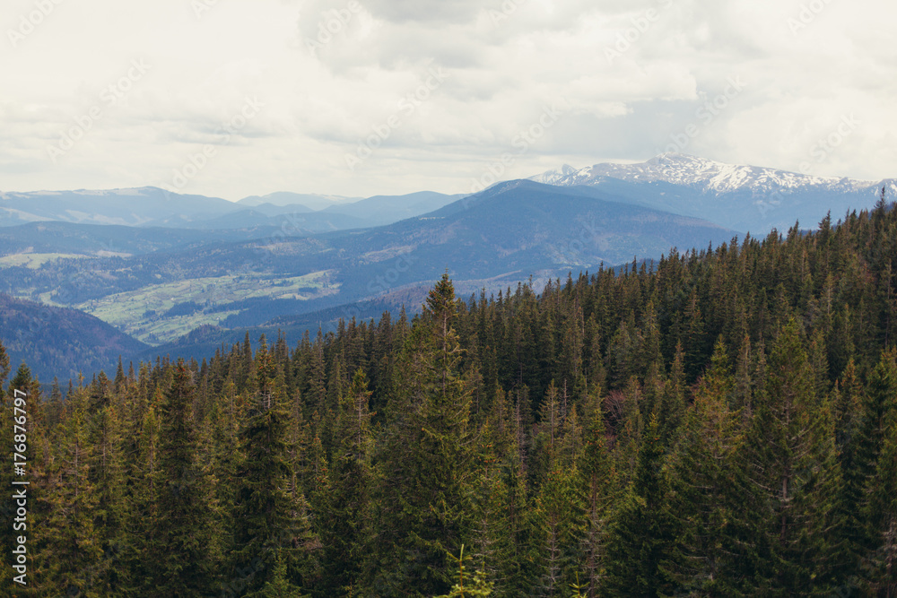 Fototapeta premium landscape in mountains Carpathians Ukraine