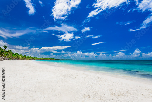 paradise tropical beach palm the Caribbean Sea © dbrus