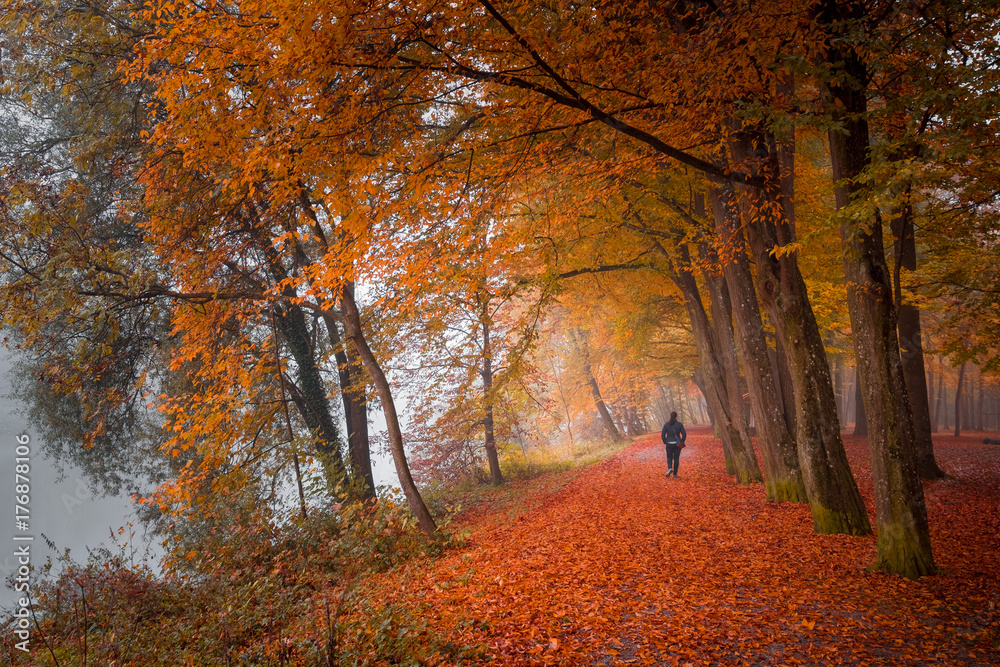 Naklejka premium Herbst im Donautal
