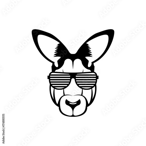 Vector kangaroo head, face  for retro hipster logos, emblems, badges, labels template and t-shirt vintage design element. Isolated on white background photo