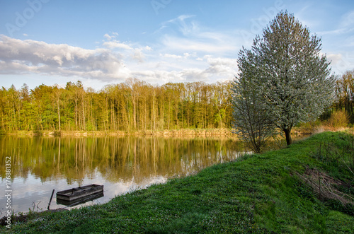 Pond with forest in the sunset, Czech republic