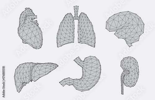 Set of geometric anatomy