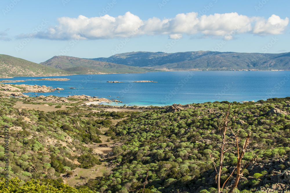 Beautiful nature of Asinara Island