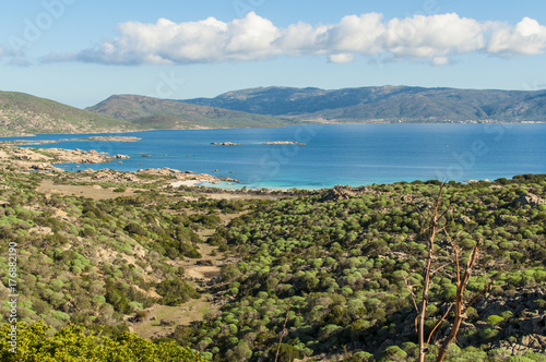Beautiful nature of Asinara Island © Irina Eller
