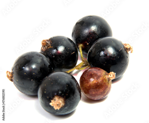 Black Currant Berries. Bunch of black currant fruits with leaf isolated on white background