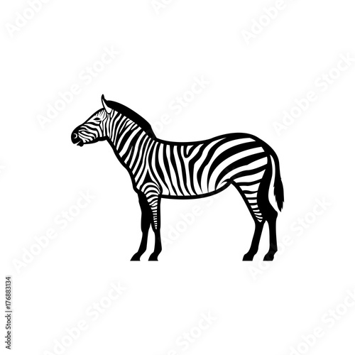 Vector zebra silhouette view side for retro logos, emblems, badges, labels template vintage design element. Isolated on white background