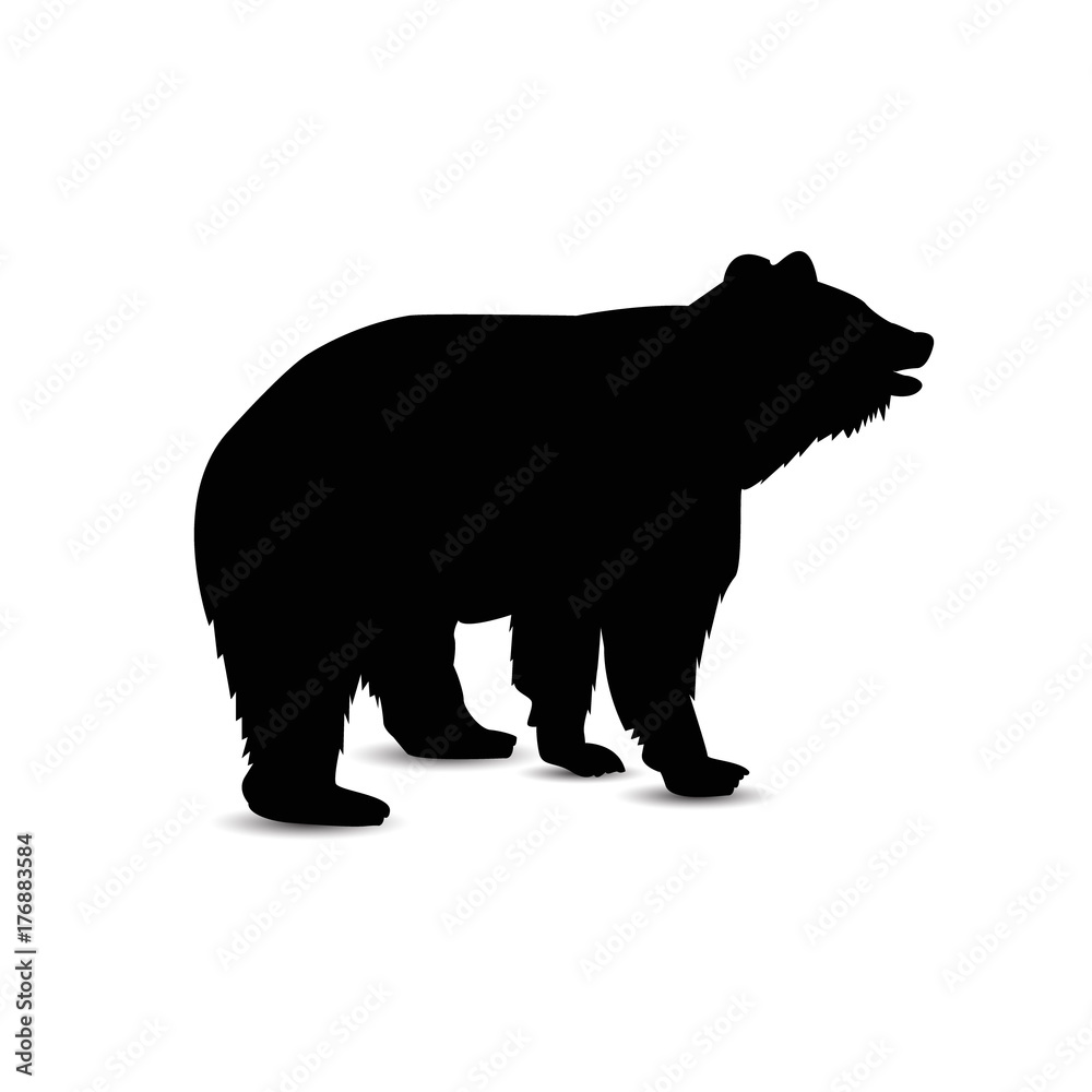 Fototapeta premium Silhouette of brown bear.