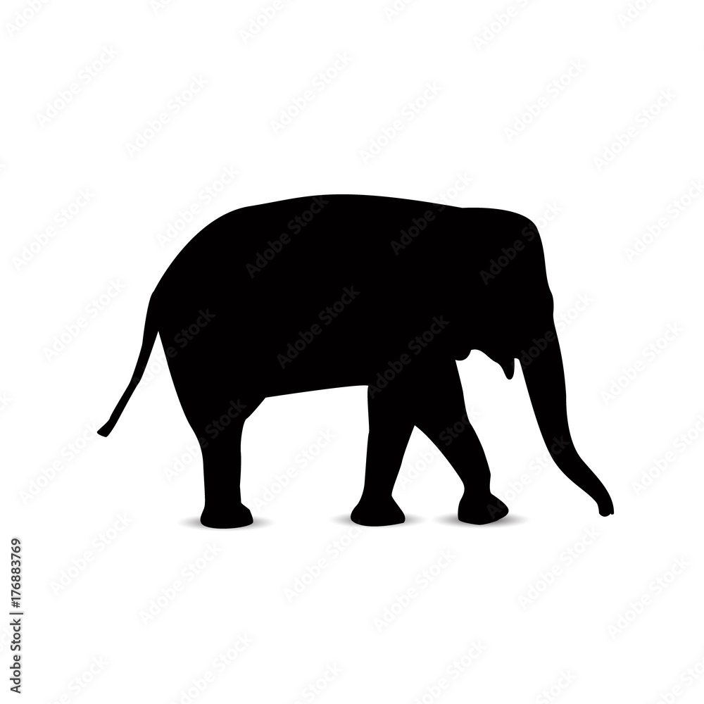 Silhouette of elephant. Silhouette of elephant.
