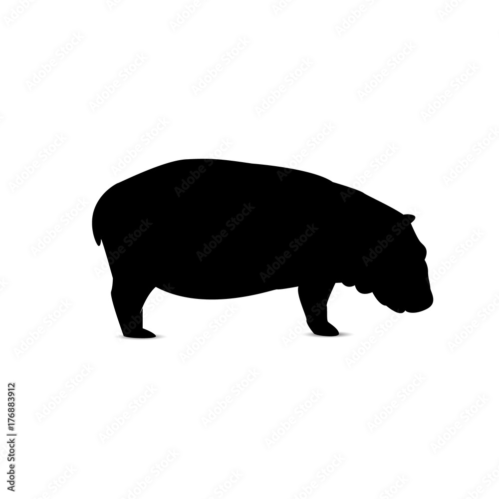 Silhouette of eating hippo. Silhouette of eating hippo.