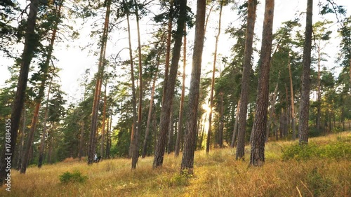 young girl galloping on autumn field near the forest photo