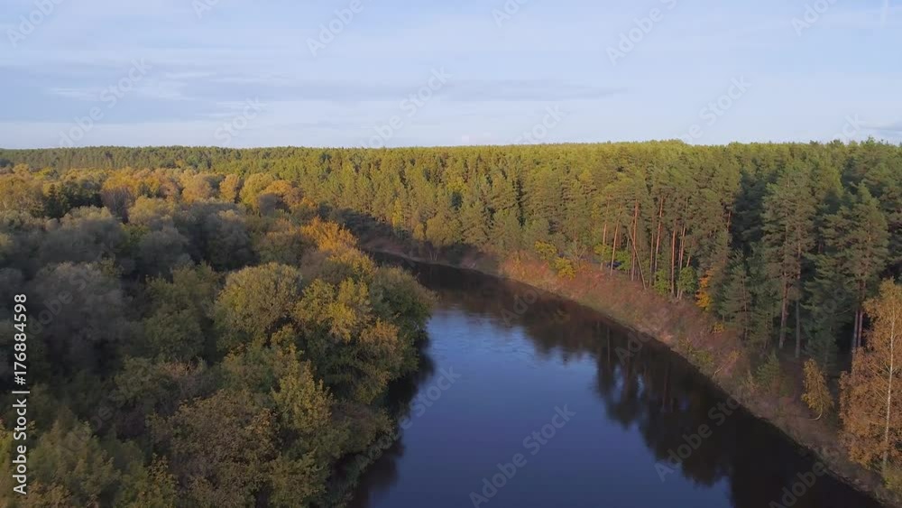 flight over river and forest flight over river and forest