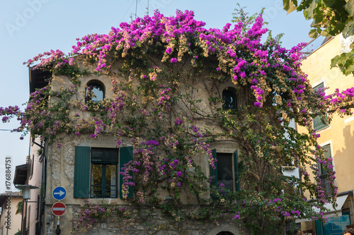 Flowerhouse in Sirmione Italy