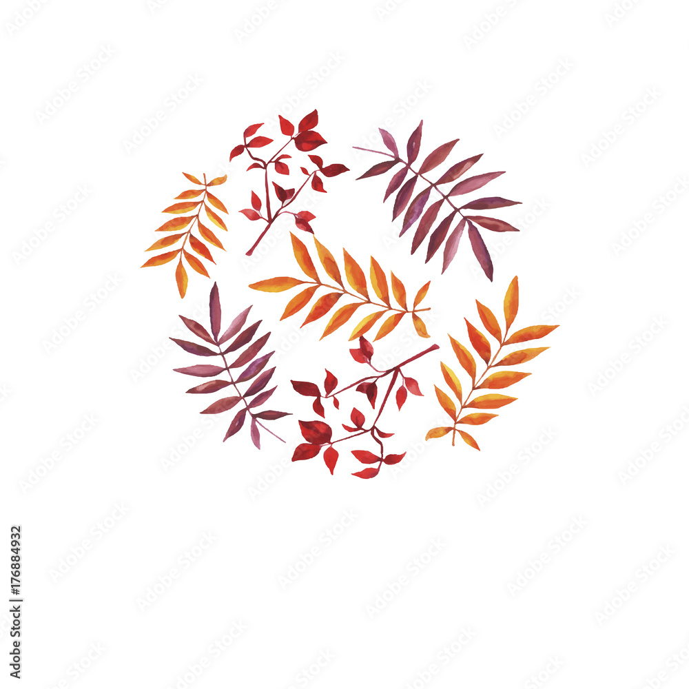 Autumn leaves circle shape. Design for logo, greeting card or wedding invitation. Hand drawn watercolor vector illustration.