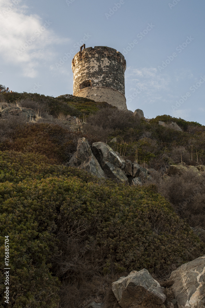 Corsica, 01/09/2017: tramonto sulla Torre della Parata, la torre genovese costruita nel 1608 con vista sulle Isole Sanguinarie