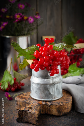 fresh berries of viburnum. Selective focus. Rustic style.