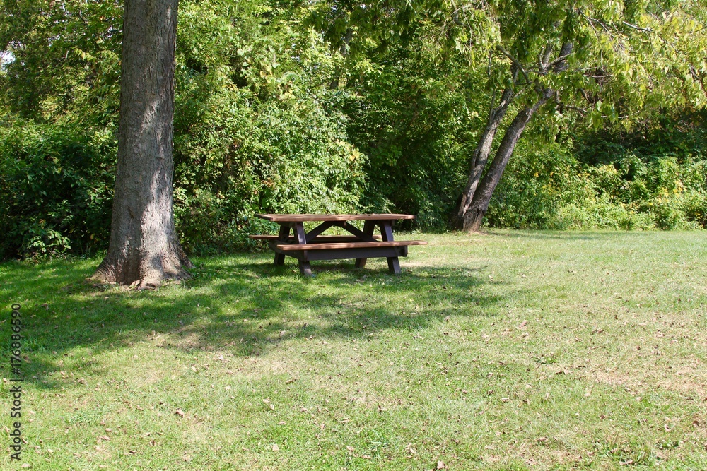 The empty picnic table under the shade tree in the park.
