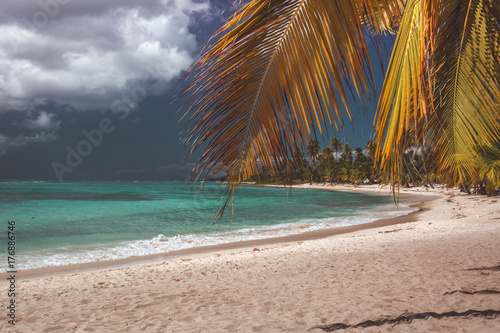 Saona Island  Dominican Republic