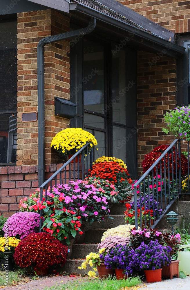 Seasonal house outdoor decoration. Main entrance stair and porch of the brick house decorated by colorful potted flowers for autumn holidays season. Close up vertical composition.