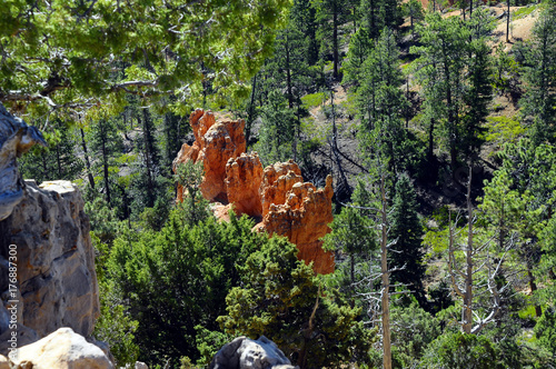 Bryce canyon landscape, USA