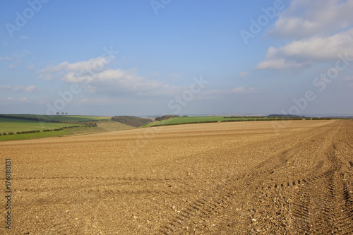 hilltop cultivated field