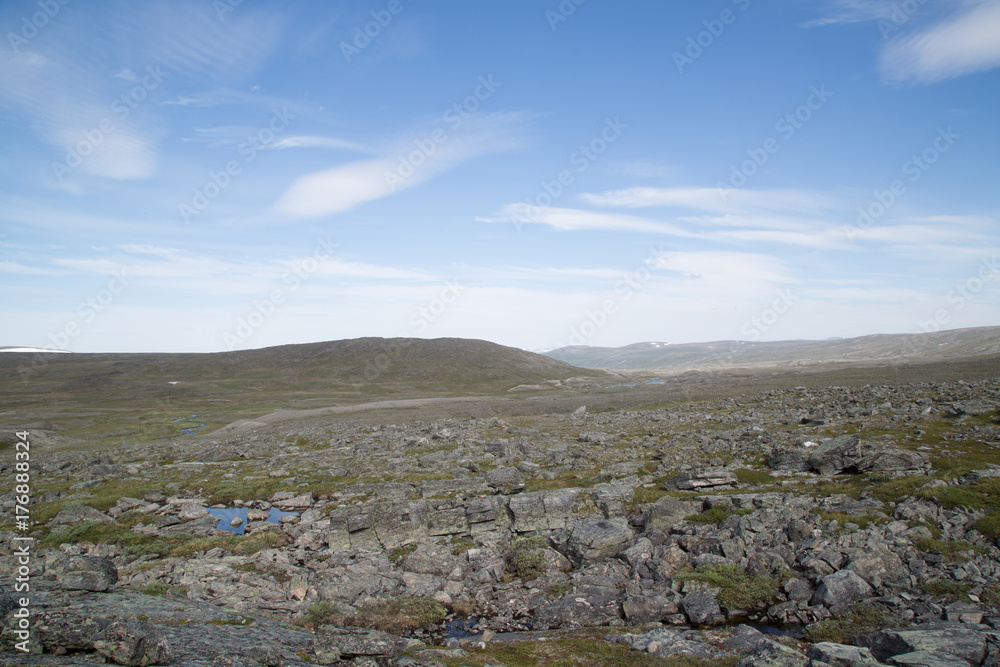 Landscape at the Nature Reserve Ráisduottarháldi, near Guolasjávri, Norway, summer 
