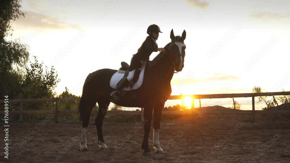 Young pretty girl riding a horse on sunset Young pretty girl riding a horse on sunset