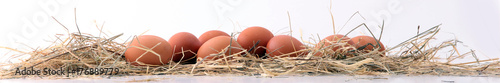 Egg. Fresh farm eggs on a white background.
