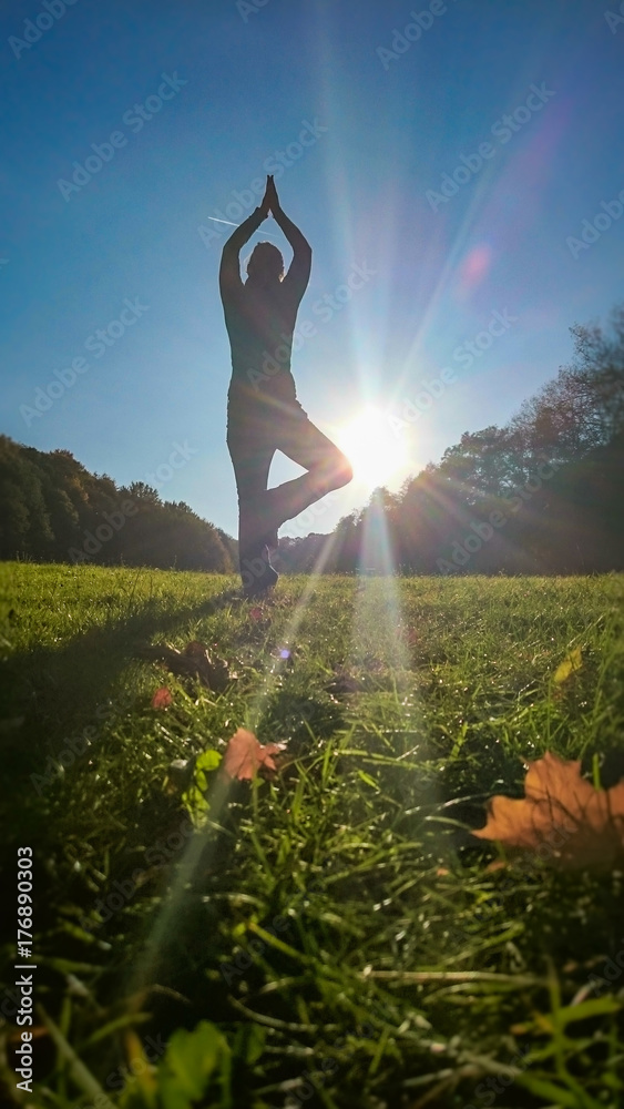 Yoga auf der Wiese im Herbst - obrazy, fototapety, plakaty 