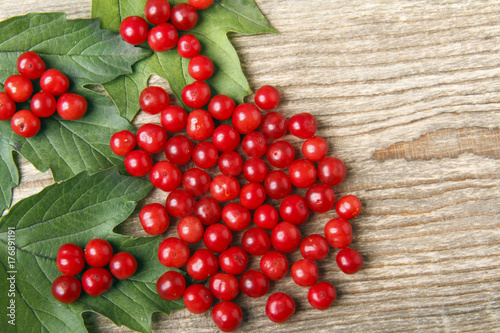 Bunches of red viburnum on a wooden background. here is a place for text