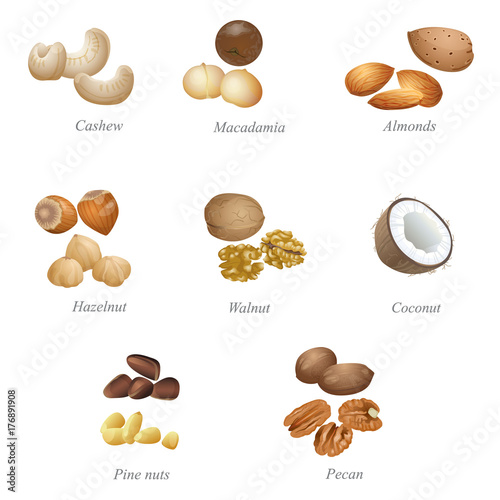 Eight named nuts and their peeled kernels. Part one / There are cashew, macadamia, almonds, hazelnut, walnut, coconut, pine nuts and pecan
