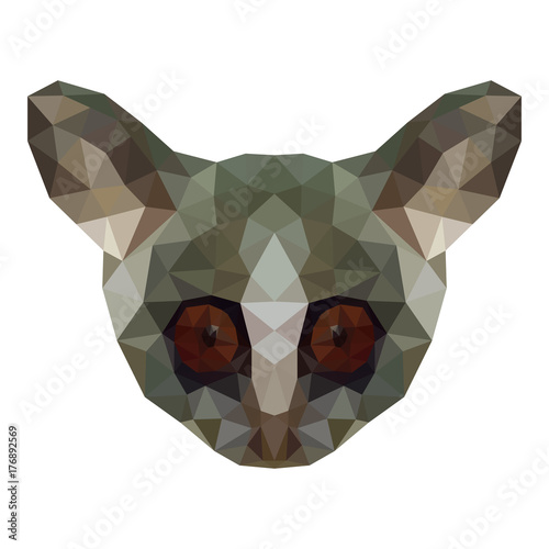 Polygon head senegal bushbaby, Galago senegalensis. Vector image. On a white background.