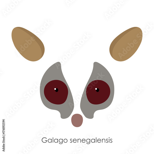Abstract senegal bushbaby, Galago senegalensis, head of an animal. Flat style. Vector image. On a white background