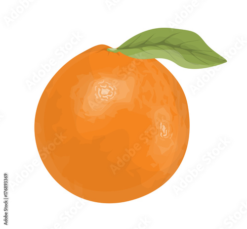 Isolated fresh orange