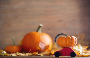 maple leaves and pumpkins with little cart toy