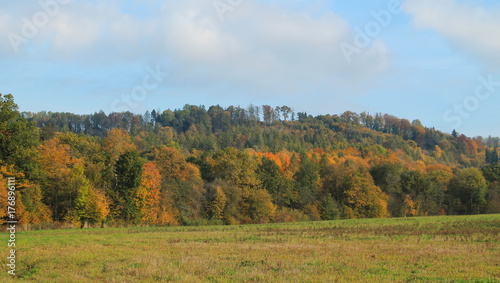 autumn landscape with colorful trees on the hills and a meadow