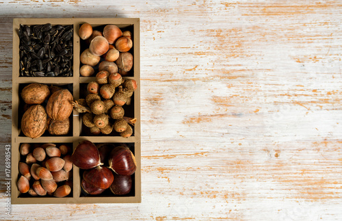 variety of nuts on wooden background. Autumn harvest concept with chestnuts, nuts, peanuts, acorns and sunflower seeds on rustic wooden table. fall flat lay