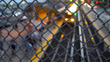 Early morning commuter railroad train arrives at station platform during sunrise to travel passengers to New York City. Overhead shallow depth of field through chain link fence