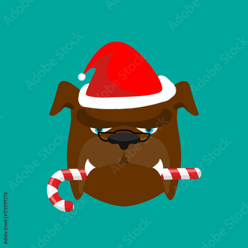 Santa dog and candy cane. Christmas home pet. Xmas bulldog. new year vector illustration