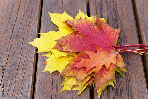 Bench with fallen maple leaves in autumn Park photo
