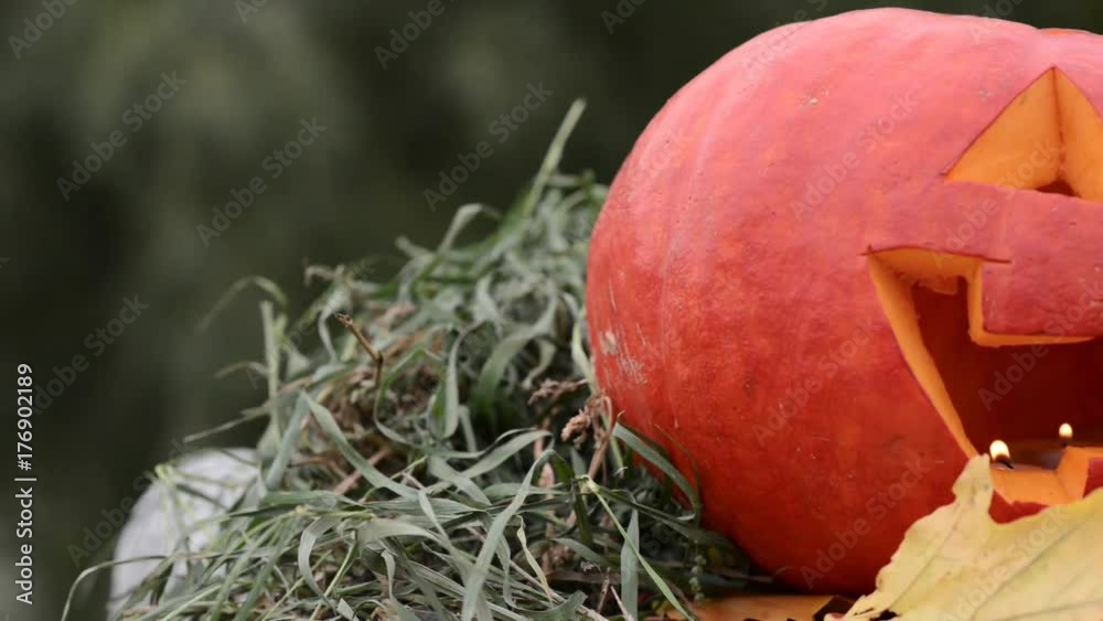 Halloween Pumpkin on autumn dry leaves. Close-up Halloween Pumpkin on autumn dry leaves. Close-up