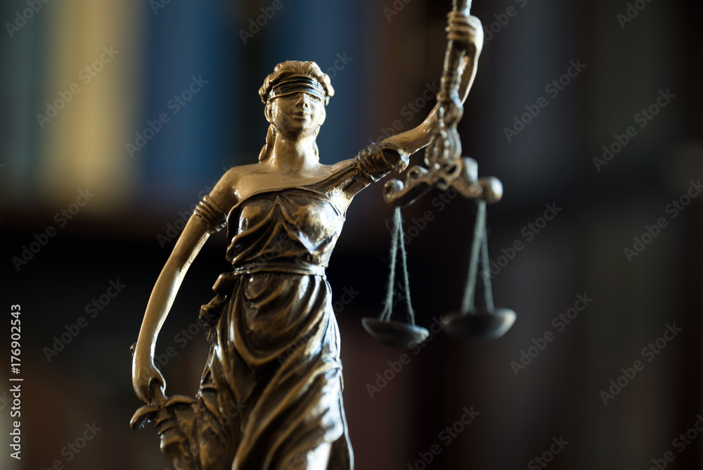 Themis figure in library Themis figure in library