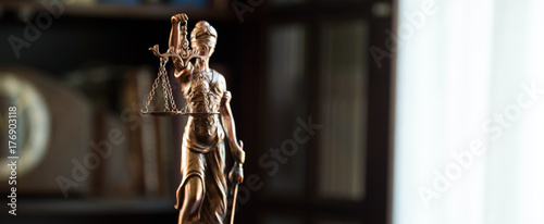 Photography Themis figure in library