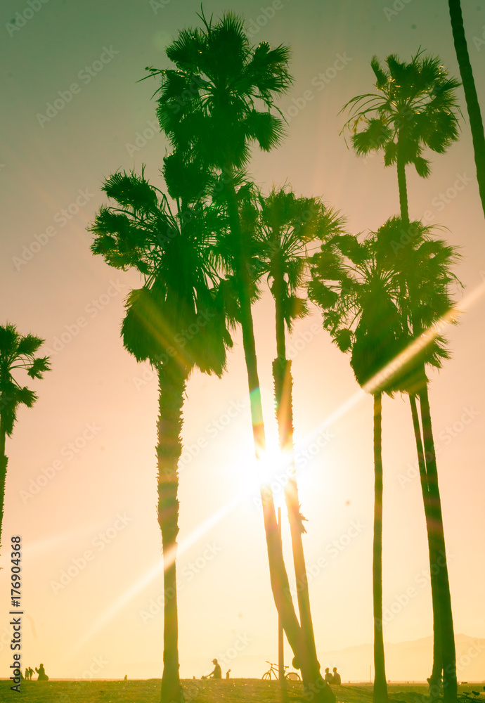 Fototapeta premium Sunny sunset on Venice Beach. Los Angeles landmark, California