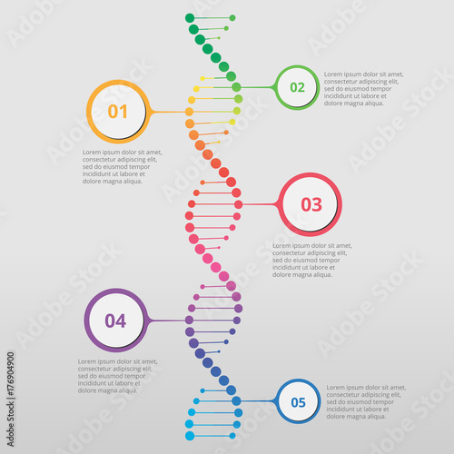 Abstract infographic DNA ,can be used for workflow layout, diagram, number options