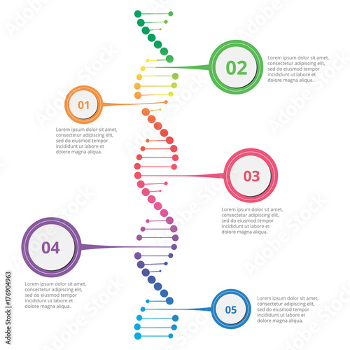 Abstract infographic DNA ,can be used for workflow layout, diagram, number options photo